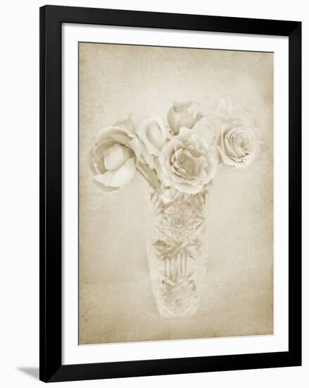 Soft Roses II-Shana Rae-Framed Giclee Print