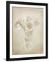 Soft Roses II-Shana Rae-Framed Giclee Print