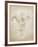 Soft Roses II-Shana Rae-Framed Giclee Print