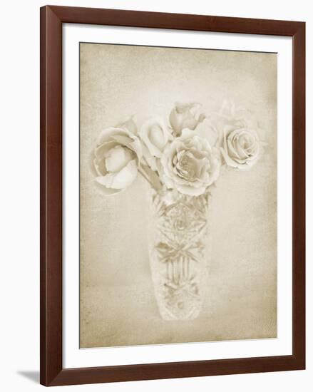 Soft Roses II-Shana Rae-Framed Giclee Print