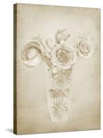 Soft Roses II-Shana Rae-Stretched Canvas