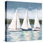 Soft Sail I-Julie DeRice-Stretched Canvas