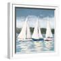 Soft Sail I-Julie DeRice-Framed Art Print