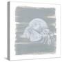 Soft Sea Hermit Crab-Yvette St. Amant-Stretched Canvas
