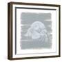 Soft Sea Hermit Crab-Yvette St. Amant-Framed Art Print