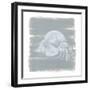 Soft Sea Hermit Crab-Yvette St. Amant-Framed Art Print