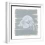 Soft Sea Hermit Crab-Yvette St. Amant-Framed Art Print