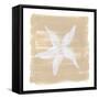 Soft Sea Starfish-Yvette St. Amant-Framed Stretched Canvas