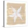 Soft Sea Starfish-Yvette St. Amant-Stretched Canvas