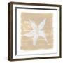 Soft Sea Starfish-Yvette St. Amant-Framed Art Print