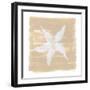 Soft Sea Starfish-Yvette St. Amant-Framed Art Print