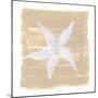 Soft Sea Starfish-Yvette St. Amant-Mounted Art Print