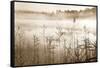 Soft Sepia Rise-Irene Weisz-Framed Stretched Canvas