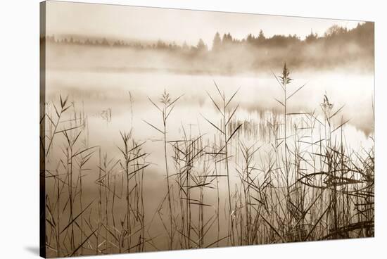 Soft Sepia Rise-Irene Weisz-Stretched Canvas