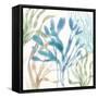 Soft Shores IX-Beth Grove-Framed Stretched Canvas