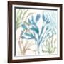 Soft Shores IX-Beth Grove-Framed Art Print