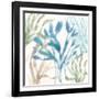 Soft Shores IX-Beth Grove-Framed Art Print