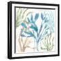 Soft Shores IX-Beth Grove-Framed Art Print