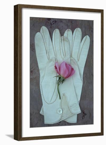 Soft Sophistication-Den Reader-Framed Photographic Print