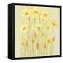 Soft Spring Floral I-Tim OToole-Framed Stretched Canvas