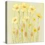 Soft Spring Floral I-Tim OToole-Stretched Canvas