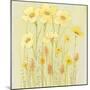 Soft Spring Floral I-Tim OToole-Mounted Art Print