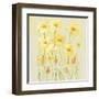 Soft Spring Floral II-Tim OToole-Framed Art Print