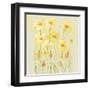 Soft Spring Floral II-Tim OToole-Framed Art Print