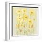 Soft Spring Floral II-Tim OToole-Framed Art Print