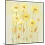 Soft Spring Floral II-Tim OToole-Mounted Art Print