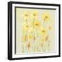 Soft Spring Floral II-Tim OToole-Framed Art Print