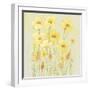 Soft Spring Floral II-Tim OToole-Framed Art Print