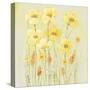 Soft Spring Floral II-Tim OToole-Stretched Canvas