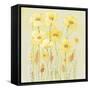 Soft Spring Floral II-Tim OToole-Framed Stretched Canvas