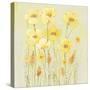 Soft Spring Floral II-Tim OToole-Stretched Canvas