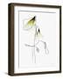 SOFT SPRING-Ankie Kooi-Framed Photographic Print