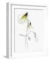 SOFT SPRING-Ankie Kooi-Framed Photographic Print