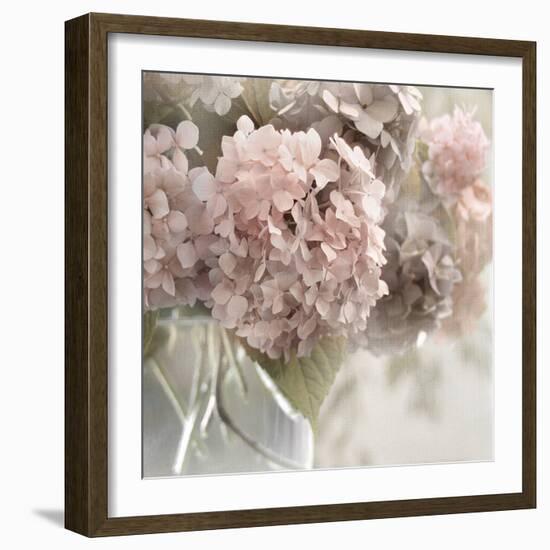 Soft Summer Hydrangea-Irene Weisz-Framed Photo