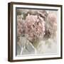 Soft Summer Hydrangea-Irene Weisz-Framed Photo