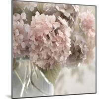 Soft Summer Hydrangea-Irene Weisz-Mounted Photo