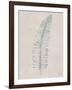 Soft Summer Sketches I-James Wiens-Framed Art Print