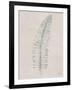 Soft Summer Sketches I-James Wiens-Framed Art Print