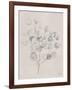 Soft Summer Sketches II-James Wiens-Framed Art Print