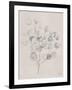 Soft Summer Sketches II-James Wiens-Framed Art Print