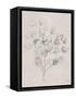 Soft Summer Sketches II-James Wiens-Framed Stretched Canvas