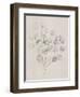 Soft Summer Sketches II-James Wiens-Framed Art Print