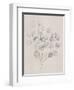 Soft Summer Sketches II-James Wiens-Framed Art Print