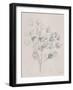 Soft Summer Sketches II-James Wiens-Framed Art Print