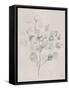 Soft Summer Sketches II-James Wiens-Framed Stretched Canvas