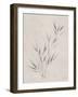 Soft Summer Sketches III-James Wiens-Framed Art Print